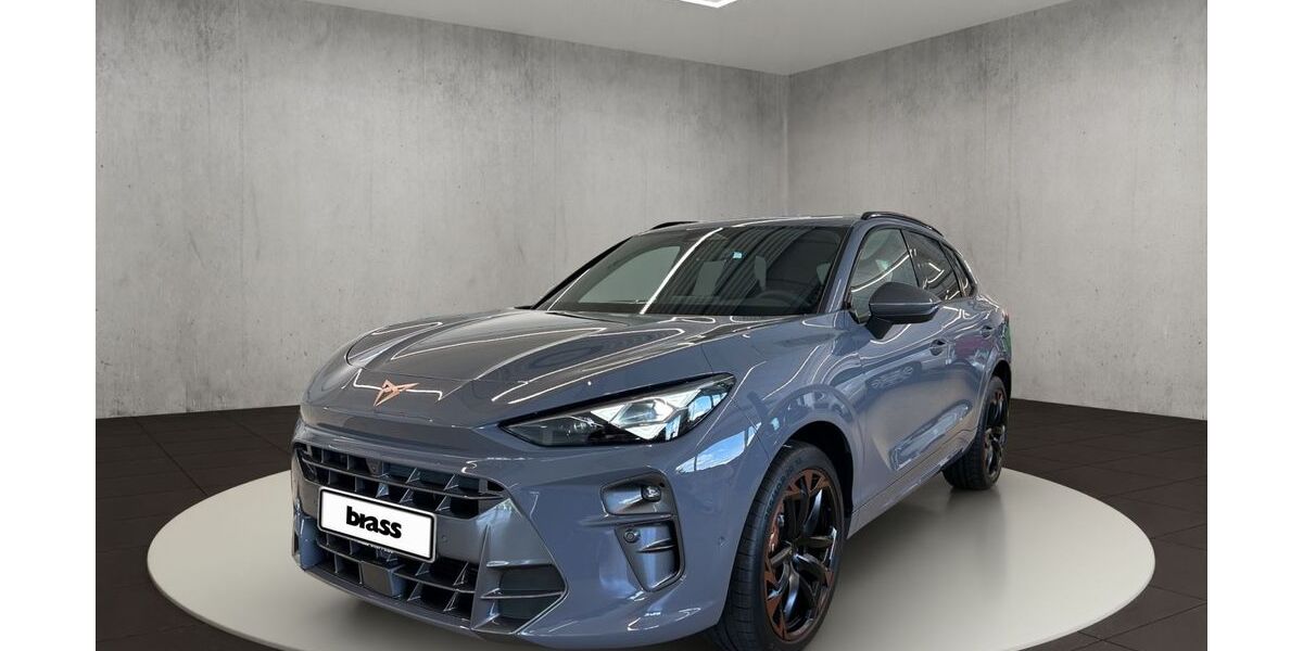 Cupra Terramar 9.999 km 47.950 &euro; Darmstadt 64293