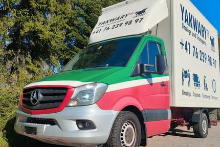 Mercedes-Benz Sprinter 539.000 km 11.389 € Konstanz 78462