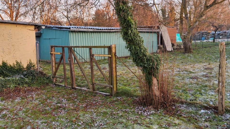 Doppelhaushälfte Putbus - 159.000&euro; | Angebot:26873462