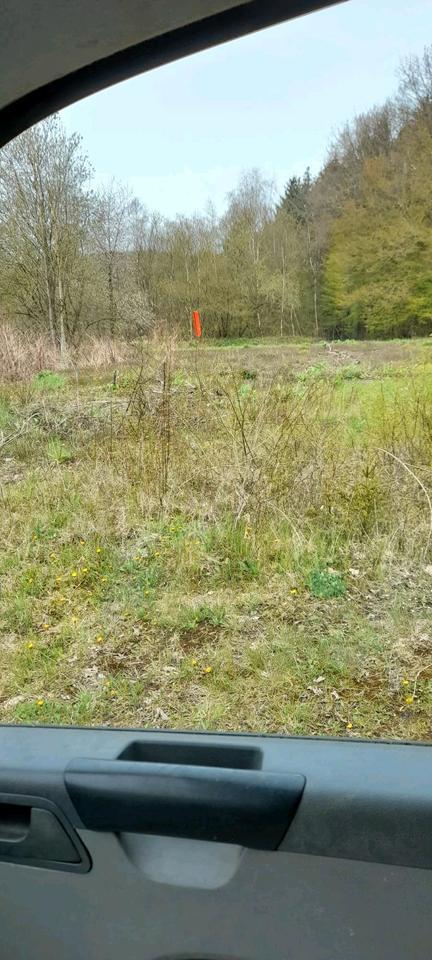 4 Grundstücke für Tinyhäuser