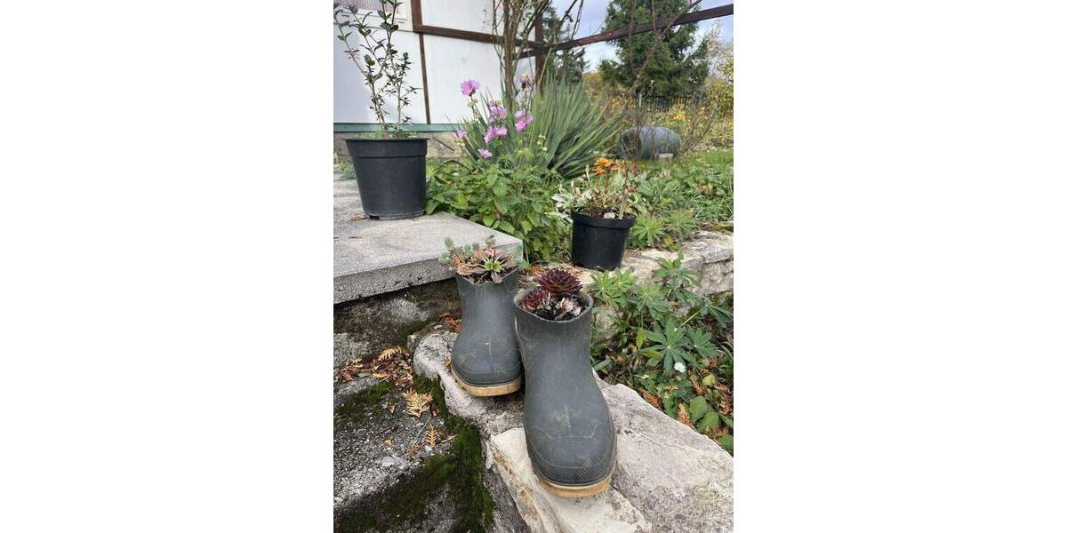 Ländliches Freizeit-Gartengrundstück mit Bungalow zimmer