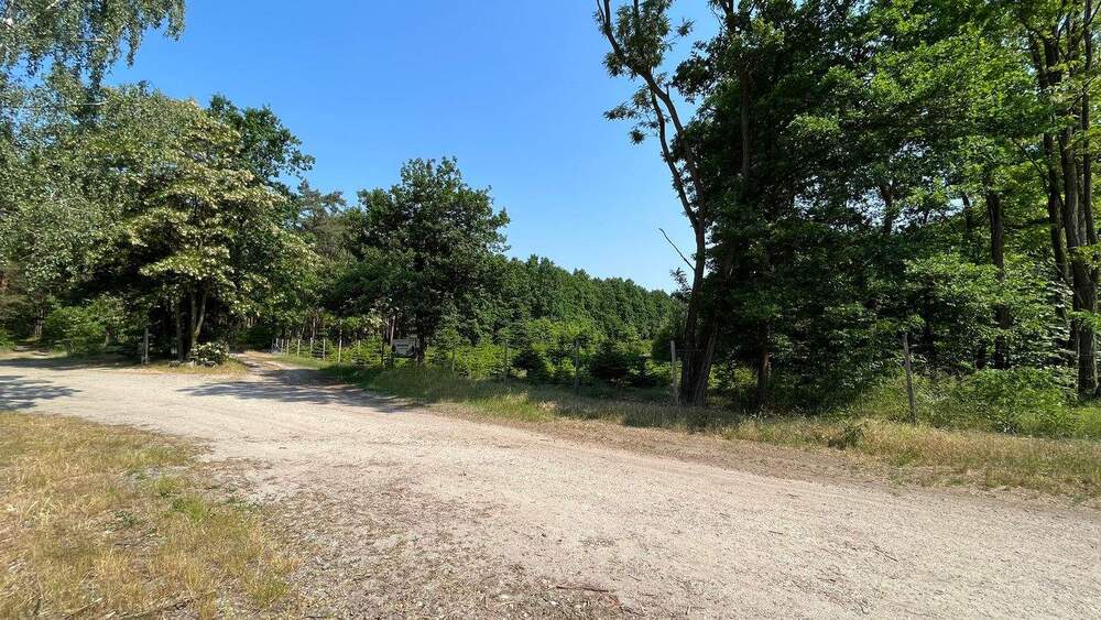 Grundstück Kemberg Gniest - 500.000&euro; | Angebot:25999317