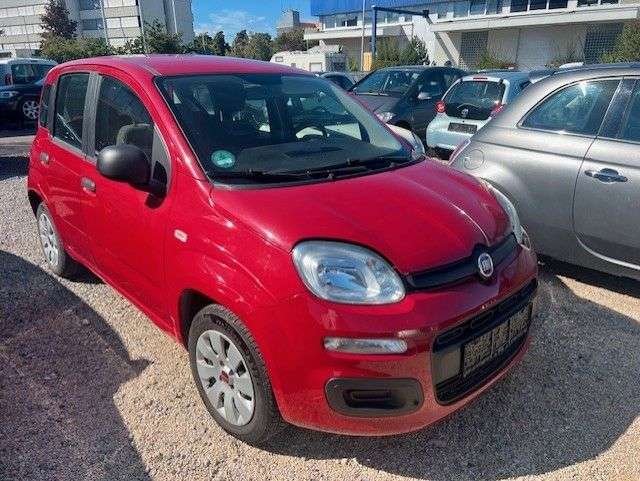Panda