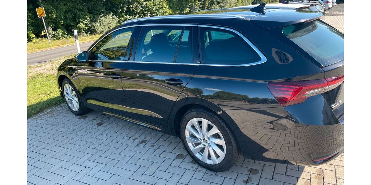 Skoda Octavia 12.000 km 32.900 &euro; Speicher 54662