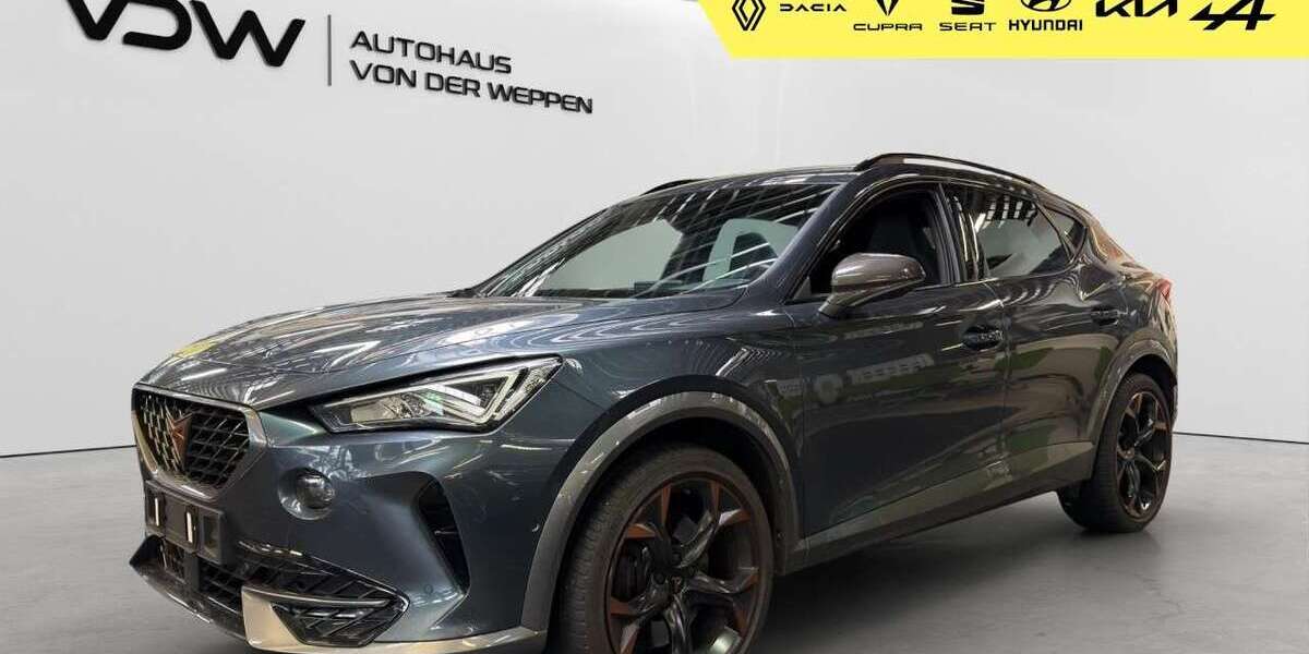 Cupra Formentor 61.300 km 29.480 &euro; Heilbronn 74076