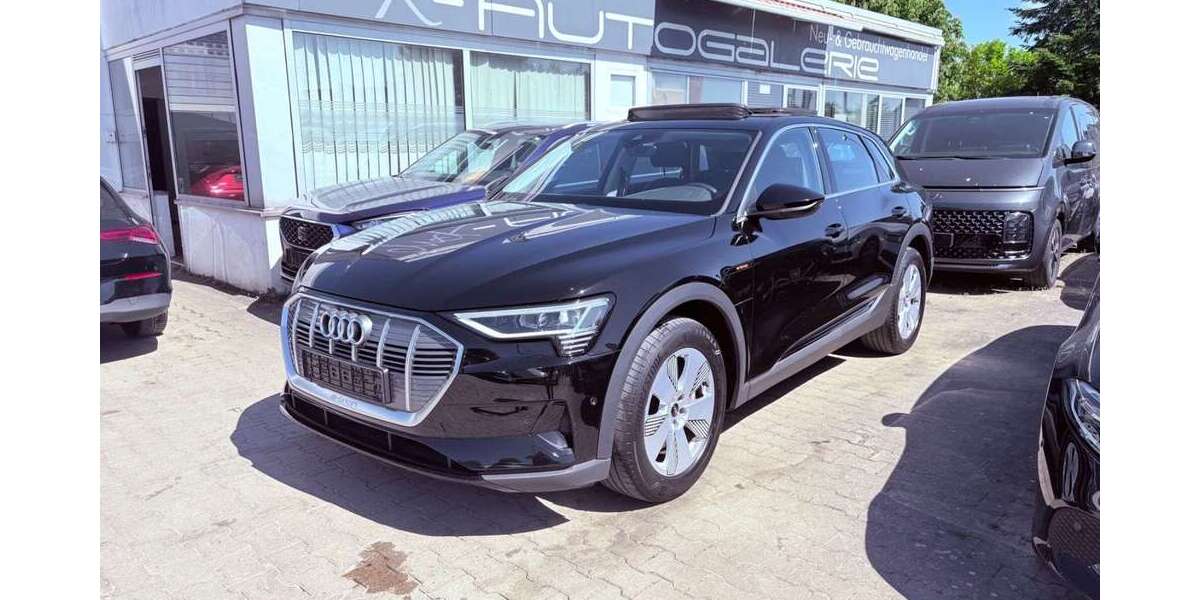 Audi e-tron 91.000 km 22.990 &euro; Ulm (Jungingen) 89081