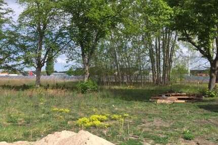 Grundstück Storkow (Mark) - 149.990&euro; | Angebot:25856336