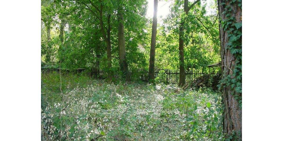 Grundstück Hoppegarten Waldesruh - 375.300&euro; | Angebot:25663084