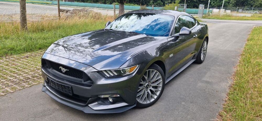 Mustang
