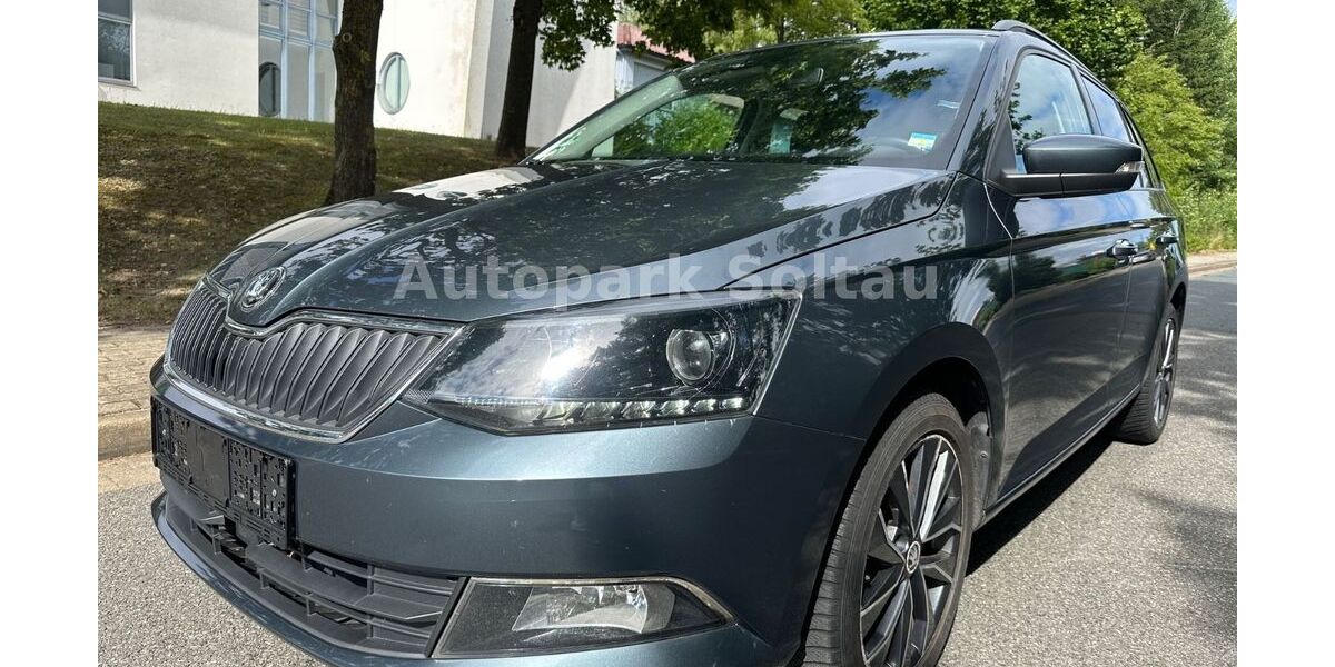 Skoda Fabia 160.000 km 8.500 &euro; Soltau 29614