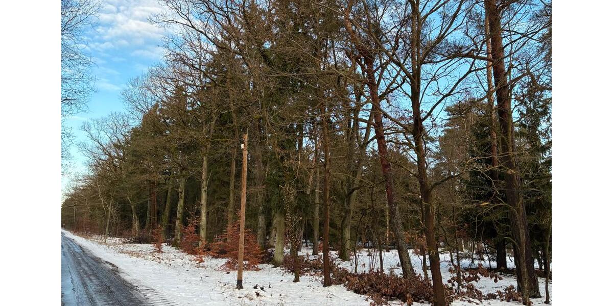 Grundstück Klötze - 15.000&euro; | Angebot:24832010