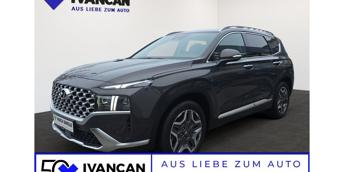 Hyundai SANTA FE 15.147 km 37.990 &euro; Ludwigshafen 67071