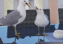 2 Zi. Erdgeschoss Wohnung, 60 qm in Travemünde