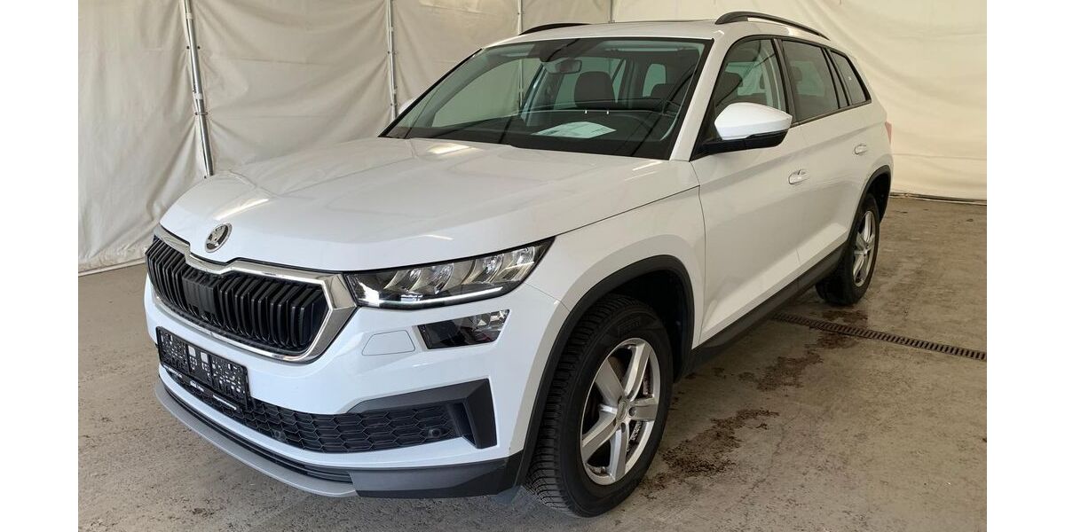 Skoda Kodiaq 95.000 km 23.490 &euro; Steinbach-Hallenberg OT Herges-Hallenberg 98587