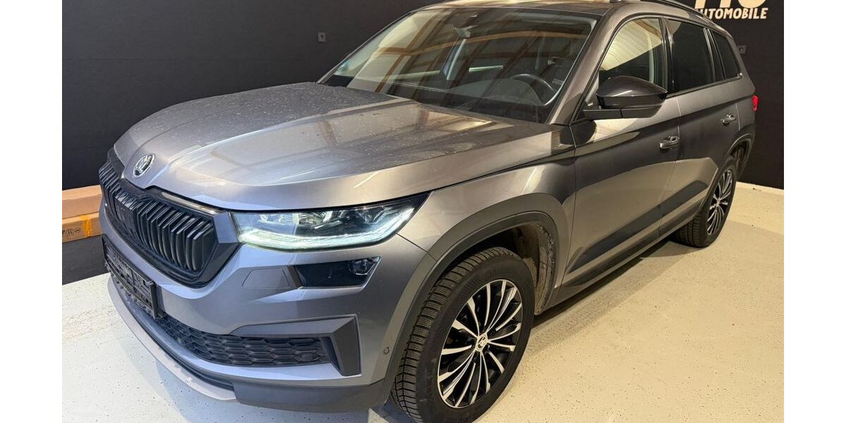 Skoda Kodiaq 230.000 km 19.397 &euro; Heidelberg 69123