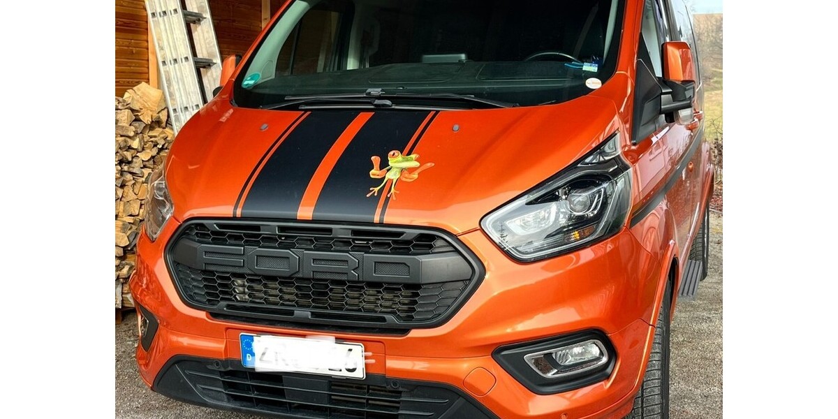 Ford Tourneo Custom Bus 159.700 km 24.500 &euro; Limbach 74838