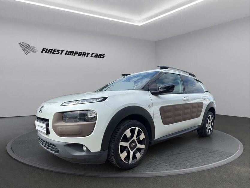 C4 Cactus