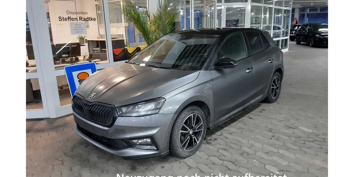 Skoda Fabia 29.126 km 17.980 &euro; Herzberg 37412