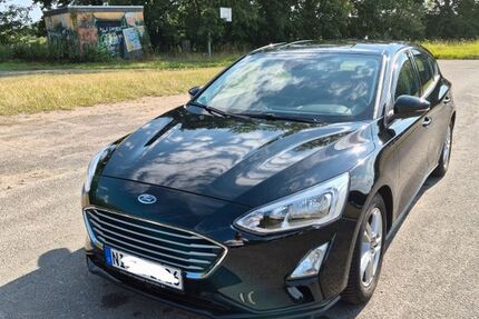 Ford Focus 17.500 km 14.400 &euro; Nienburg 31582