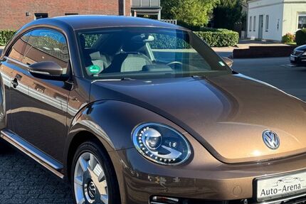 VW Beetle 80.000 km 8.999 € Stadland 26935