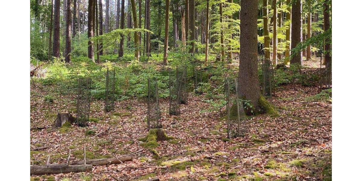 Grundstück Flossenbürg - 170.000&euro; | Angebot:26036735