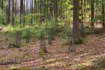 Grundstück Flossenbürg - 170.000&euro; | Angebot:26036735