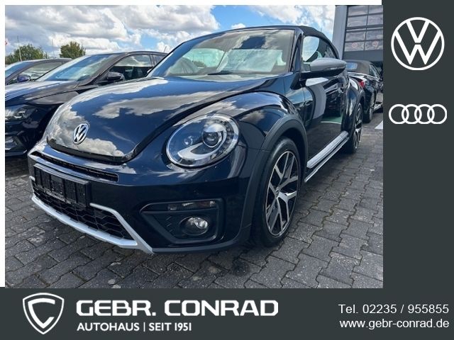 Beetle