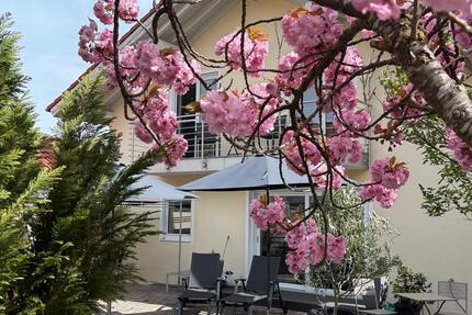 Haus Pfarrkirchen - 8 Zimmer, 176 m&sup2;, 555.000&euro; | Angebot:26766113