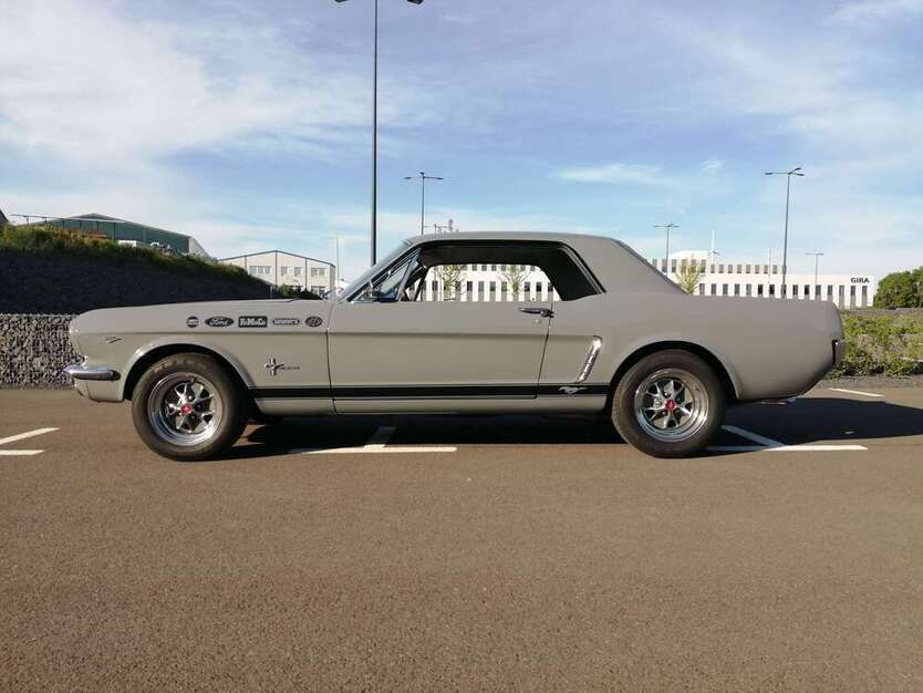 Mustang