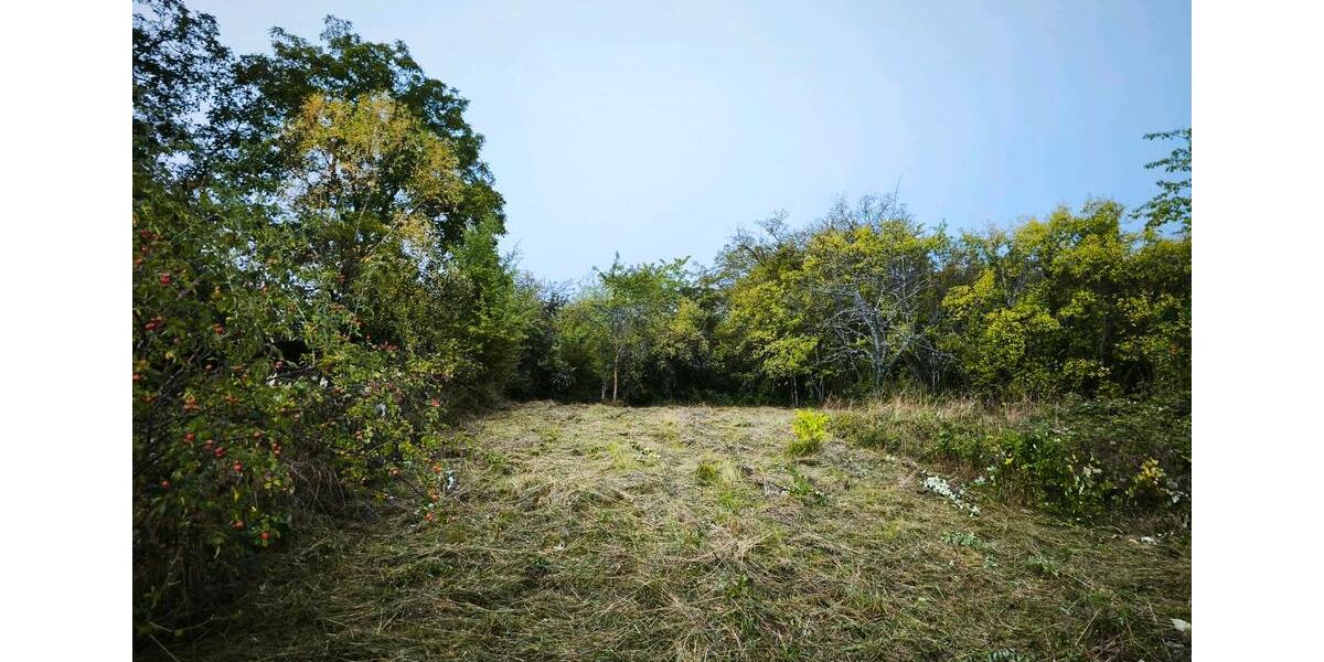 Grundstück Auenwald - 100&euro; | Angebot:26394229