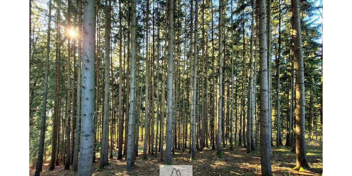 Grundstück Eggenthal Völken - 84.900&euro; | Angebot:25689866