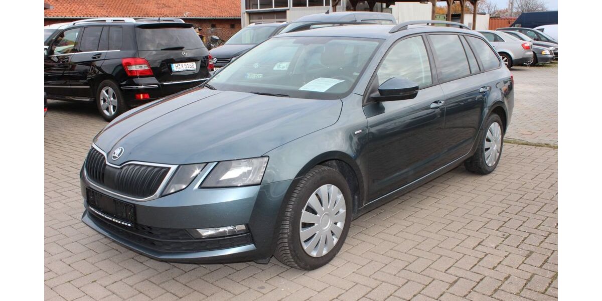 Skoda Octavia 252.000 km 7.990 &euro; Neustadt am Rübenberge 31535
