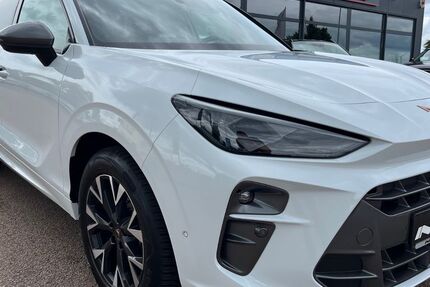 Cupra Terramar 54.400 km 29.950 &euro; Hettstedt OT Walbeck 06333