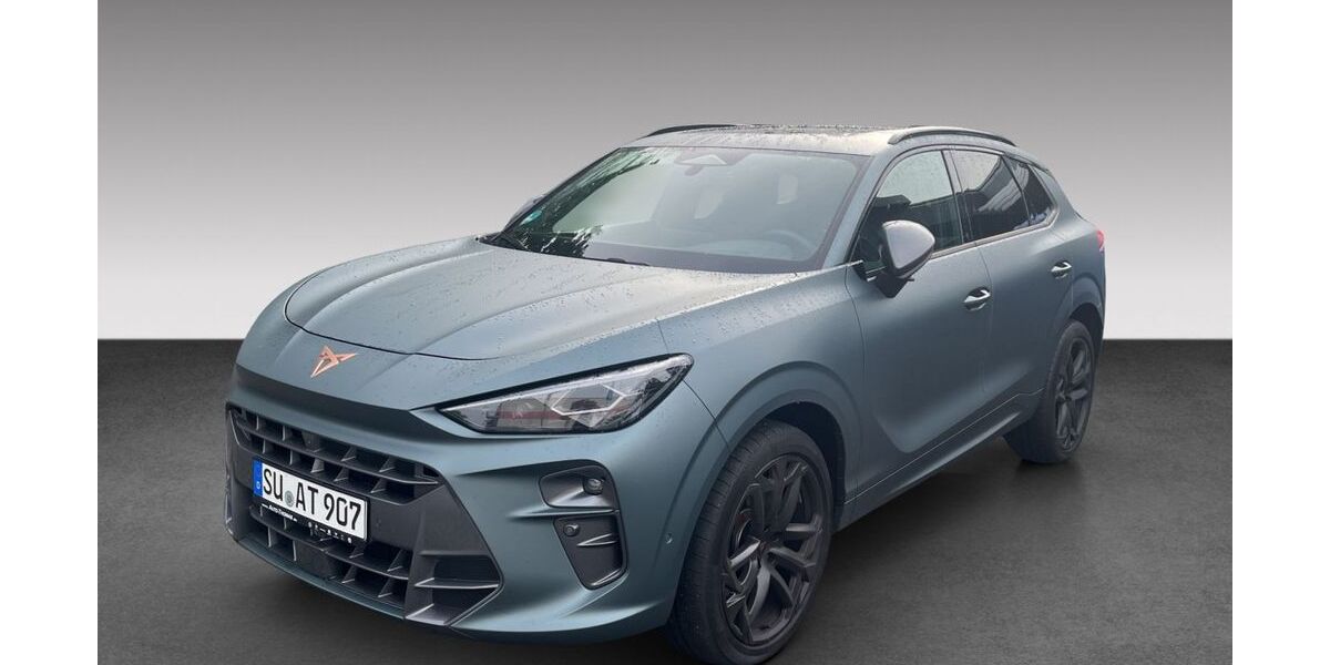 Cupra Terramar 18.000 km 53.850 € Hennef 53773