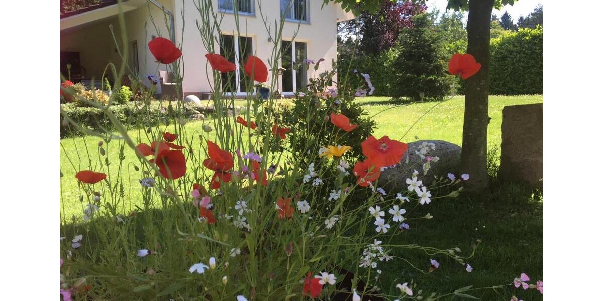 Einfamilienhaus Ahlerstedt - 3 Zimmer, 75 m&sup2;, 295.000&euro; | Angebot:26621613