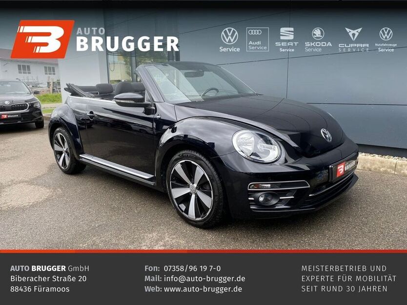 Beetle