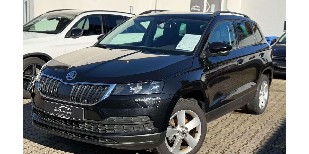 Skoda Karoq 125.900 km 16.980 &euro; Ulm 89077