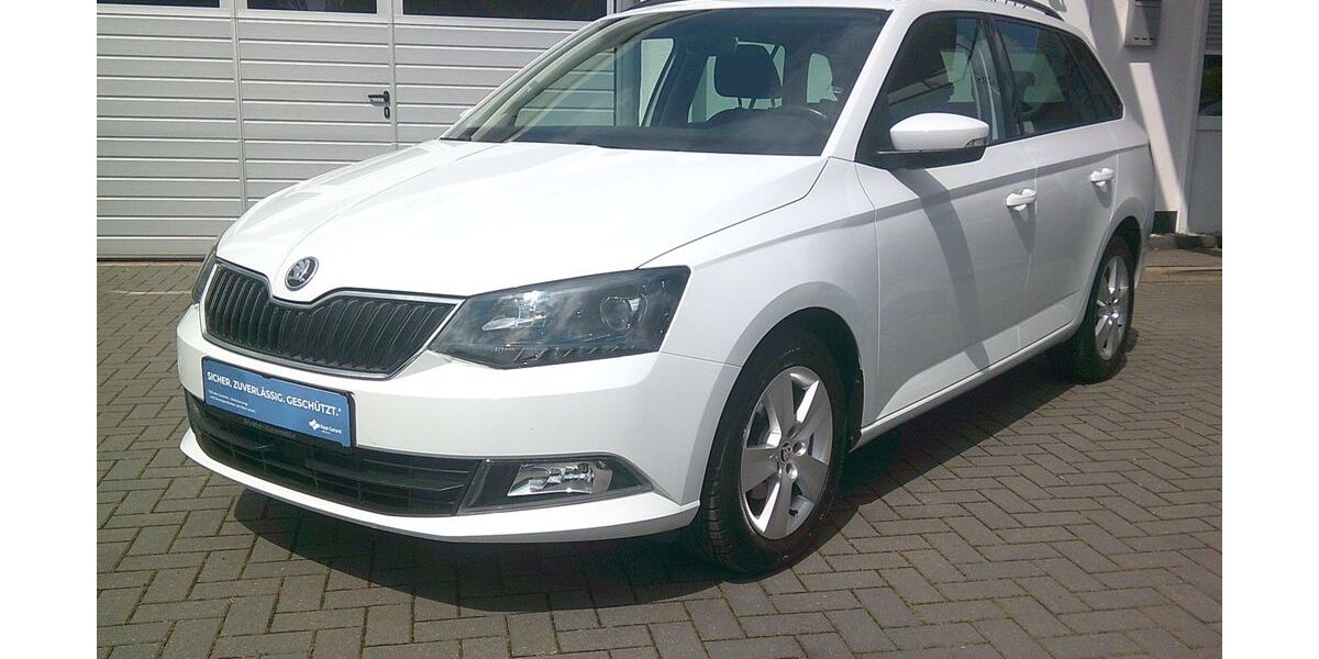 Skoda Fabia 90.000 km 9.999 &euro; Gronau (Leine) OT Brüggen 31028