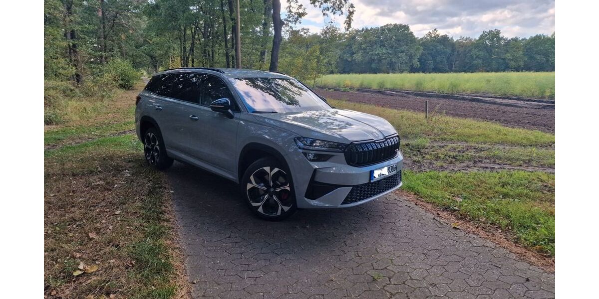 Skoda Kodiaq 10.616 km 49.999 &euro; Neetze 21398