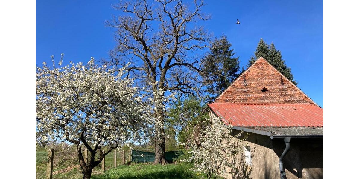 Einfamilienhaus Pritzwalk - 4 Zimmer, 122 m&sup2;, 239.000&euro; | Angebot:27086768