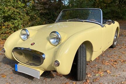Austin Healey Andere