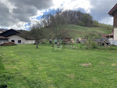 NATUR PUR MIT RUHE UND AUSBLICK zimmer