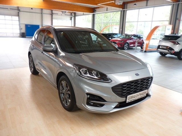 Kuga