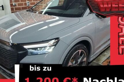 Audi Q4 e-tron 47.178 km 29.860 &euro; Ulm 89073
