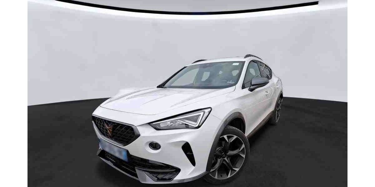 Cupra Formentor 123.600 km 21.390 &euro; Salzgitter 38259