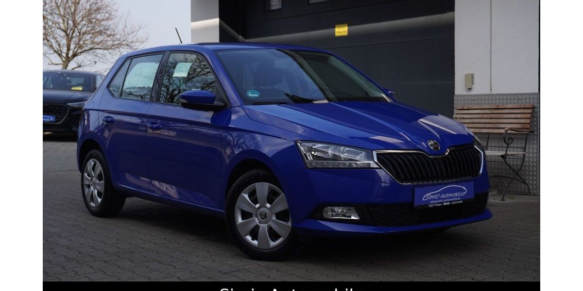 Skoda Fabia 93.000 km 7.999 &euro; Owen 73277