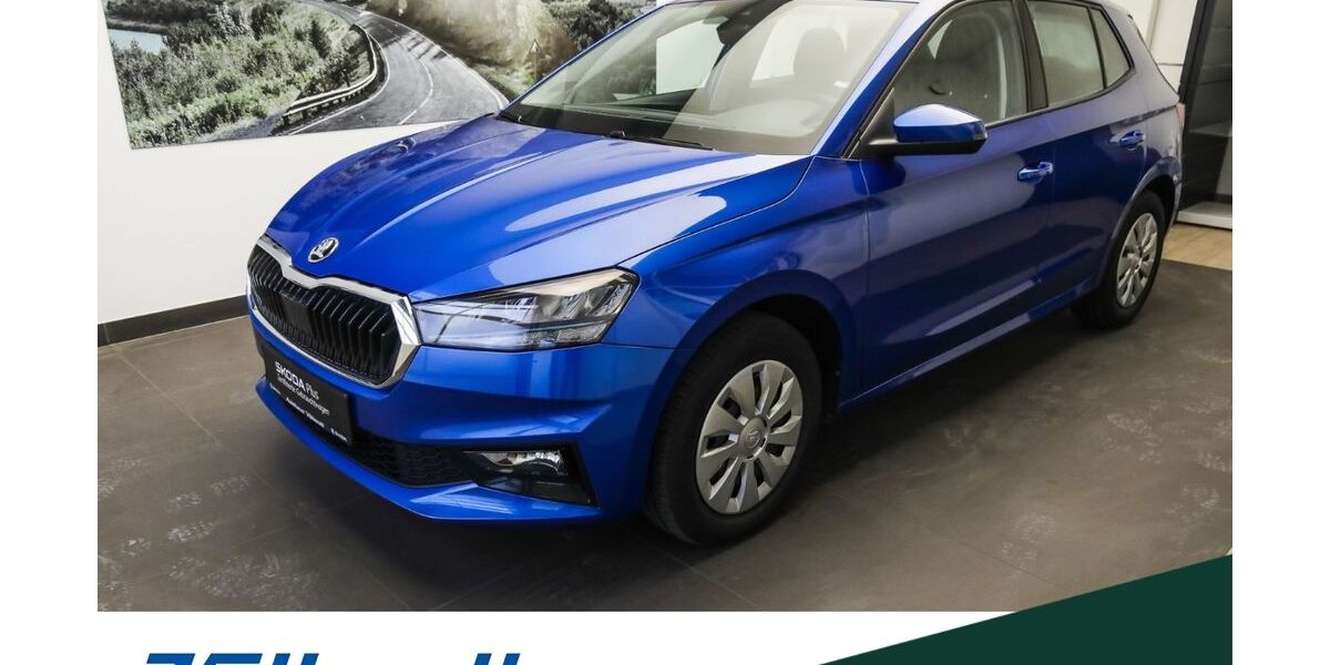 Skoda Fabia 63.720 km 13.880 &euro; Holzminden 37603