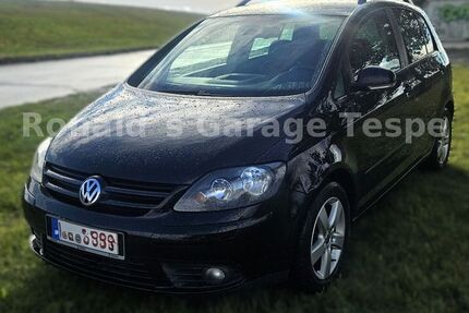 VW Golf Plus 105.300 km 5.800 &euro; Tespe 21395