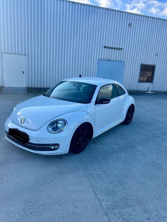Beetle