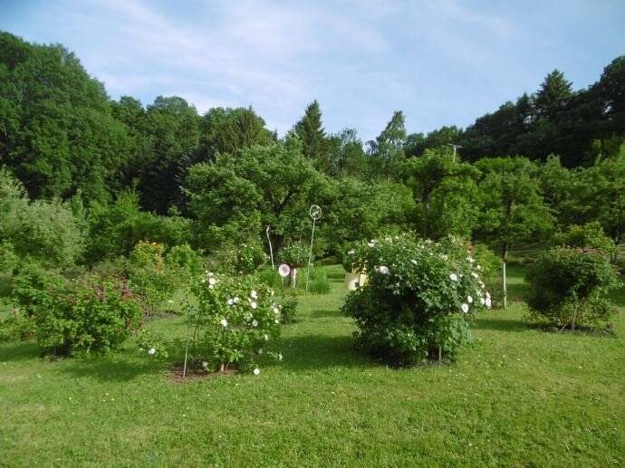 Grundstück Flachslanden Virnsberg - 98.000&euro; | Angebot:25663002